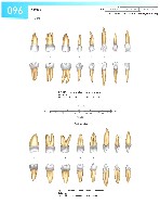 Sobotta Atlas of Human Anatomy  Head,Neck,Upper Limb Volume1 2006, page 103